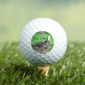 Fun 12 Pack Hare Rabbit Personalized Animal Golfballen (Insitu Shirt)