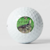 Fun 12 Pack Hare Rabbit Personalized Animal Golfballen (Voorkant)
