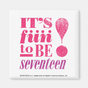 Fun. 2 B 17-Magenta Magneet