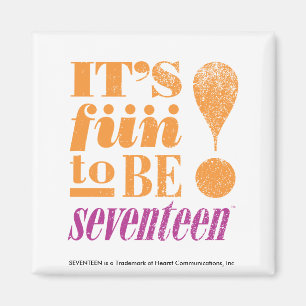 Fun. 2 B 17-Oranje Magneet