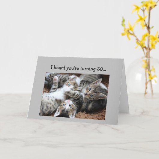 Fun 30th Birthday Kitten Cat Animal Humor Kaart (Gele Bloem)
