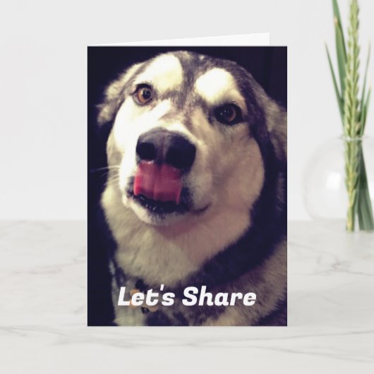 Fun Alaskan Malamute Hoesje Fotografie Sjabloon (Voorkant)