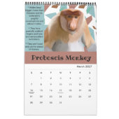 Fun Animal Facts Kalender 2025 (Mar 2027)