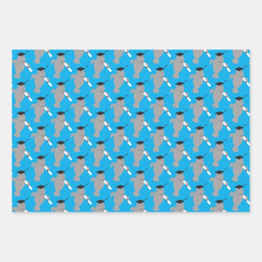 Fun Animal Manatee Afstuderen Inpakpapier Vel (Voorkant 3)