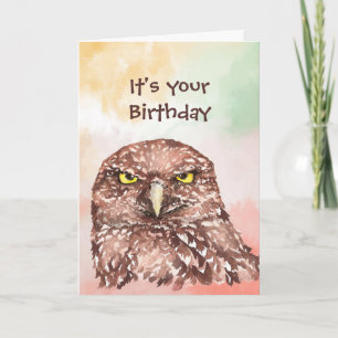 Fun Belated Birthday Sorry Owl Bird Animal Natuur Feestdagen Kaart