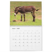 Fun bij het Boerderij kalender (Mar 2027)