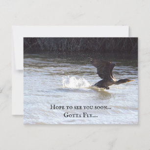 Fun Bird Briefkaart