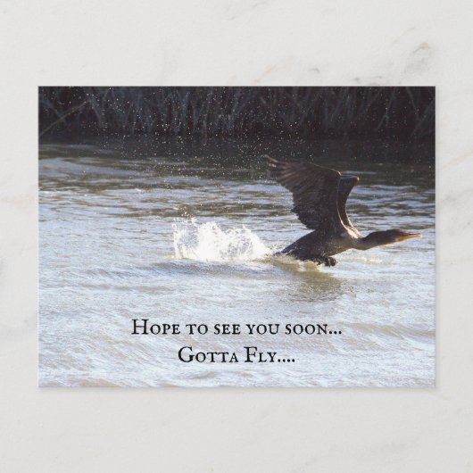 Fun Bird Briefkaart (Voorkant)