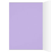 FUN BIRTHDAY BOY - BLAUW / PAARS GEPERSONALISEERD (Binnen (Links))