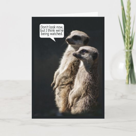 Fun Birthday Card With Meerkats - Humour Kaart (Voorkant)