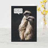 Fun Birthday Card With Meerkats - Humour Kaart (Gele Bloem)