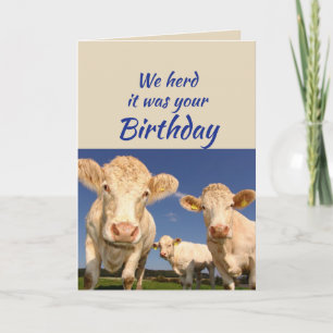 Fun Birthday uit US Koe Animal Humor Kaart