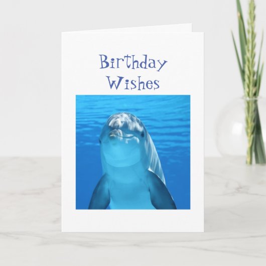 Fun Birthday Wishes Porpoise of Dolphin Kaart (Voorkant)