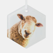 Fun Boerderij Animal Sheep Glas Ornament (Voorkant)