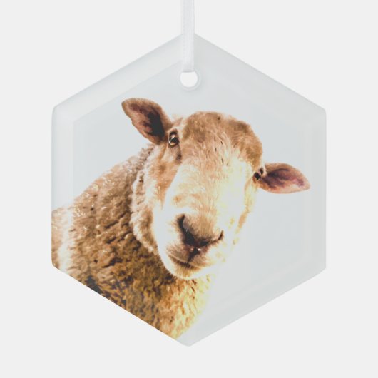 Fun Boerderij Animal Sheep Glas Ornament (Voorkant)