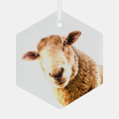 Fun Boerderij Animal Sheep Glas Ornament (Achterkant)