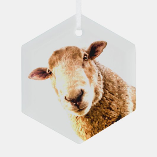 Fun Boerderij Animal Sheep Glas Ornament (Achterkant)