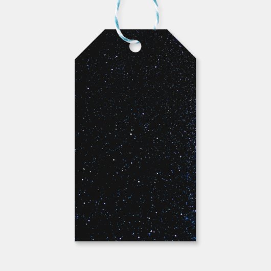 Fun Bowling party for Kids Cadeaulabel (Achterkant)