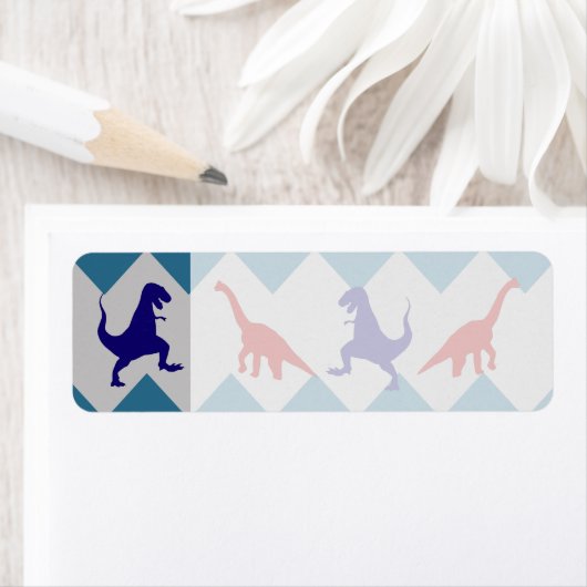 Fun Boys Dinosaurs Red Blue Chevron Pattern Etiket (Insitu)