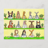 Fun Bunnies Verjaardag briefkaart (Voorkant)
