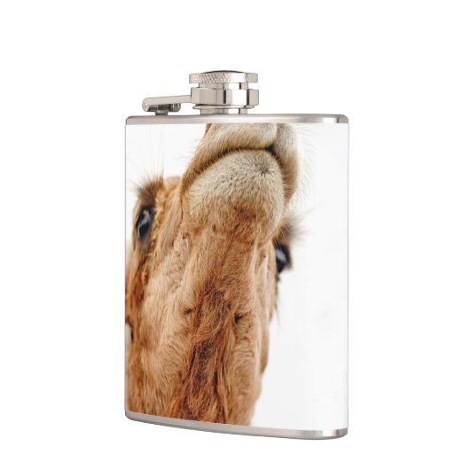 Fun Camel Photo Flask Heupfles (Links)