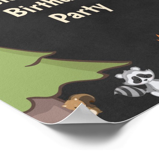 Fun Camp Out Birthday Party Sign Poster (Hoek)