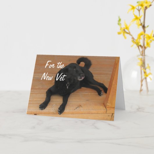 Fun Canine Vet Afstuderen Gefeliciteerd Afstuderen Kaart (Gele Bloem)