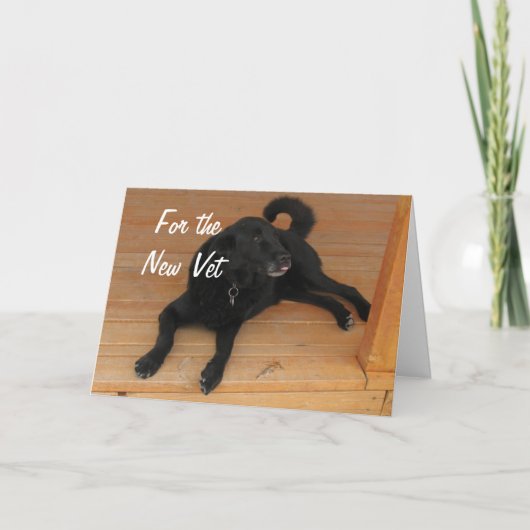 Fun Canine Vet Afstuderen Gefeliciteerd Afstuderen Kaart (Voorkant)