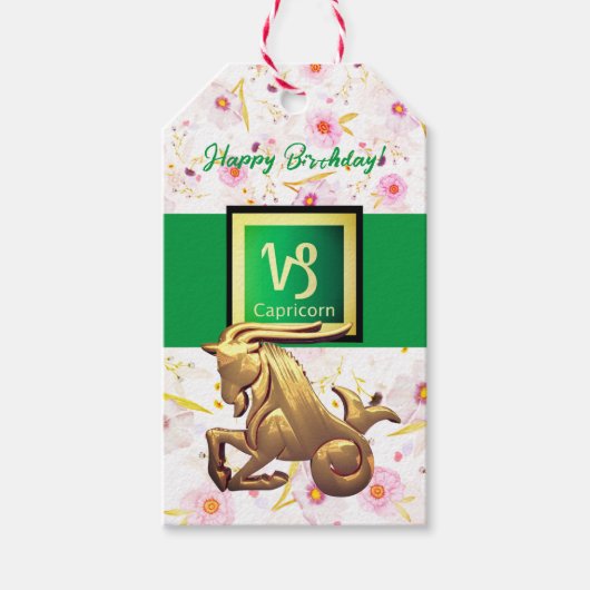 Fun Capricorn Birthday Cadeaulabel (Voorkant)