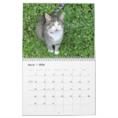 Fun Cat Calendar Kalender (Mar 2026)