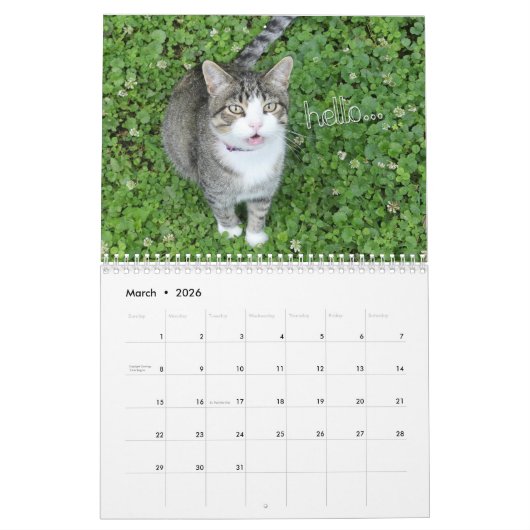 Fun Cat Calendar Kalender (Mar 2026)