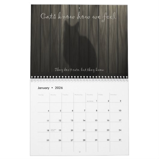 Fun Cat Calendar Kalender (Jan 2026)