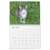 Fun Cat Calendar Kalender (Mar 2027)