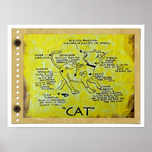 Fun CAT Description Poster! Poster (Voorkant)