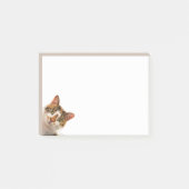 Fun Cat Kitten Looking at You Cute Animal Fun Post-it® Notes (Voorkant)