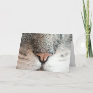 Fun Cat Lover Birthday Pun-kaart Kaart