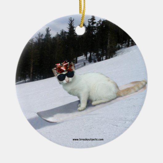 Fun Cat op een Snowboard Holiday Ornament (Voorkant)