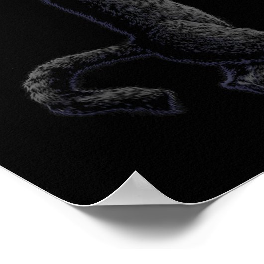 Fun Cat Rock on Rock and Roll - concertband T - sh Poster (Hoek)