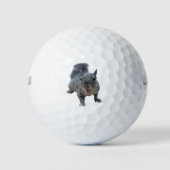 Fun Cheeky Squirrel Golf Balls Golfballen (Voorkant)