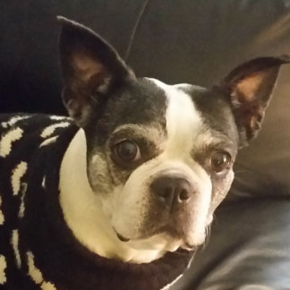 Fun Christelijke Childrens Biblicale Puzzles Legpuzzel