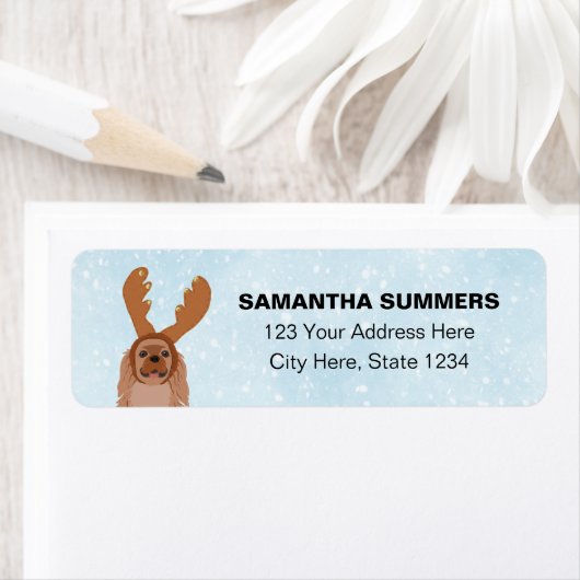 Fun Christmas Cavalier King Charles Spaniel Terug Etiket (Insitu)