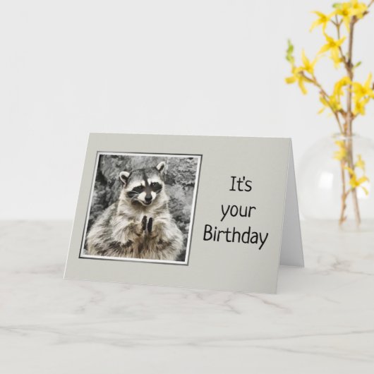 Fun Clapping Raccoon krijgt oude Humor op zaterdag Kaart (Gele Bloem)