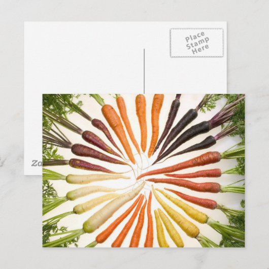 Fun Colorful Carrots Briefkaart (Voorkant / Achterkant)