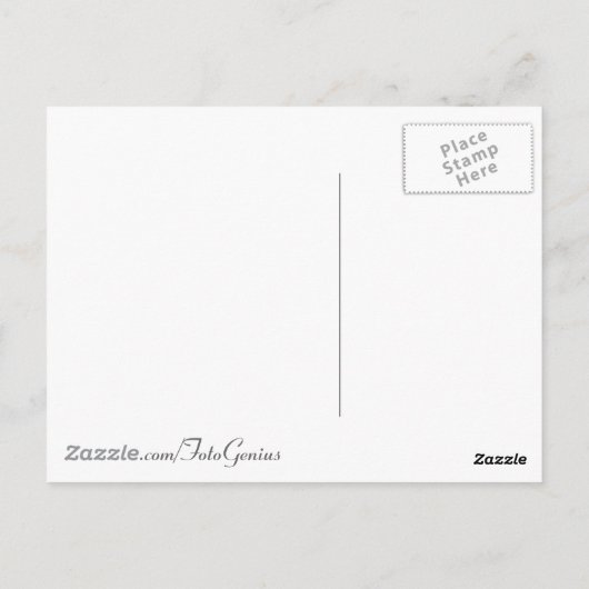 Fun Colorful Carrots Briefkaart (Achterkant)