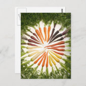 Fun Colorful Carrots Briefkaart (Voorkant / Achterkant)