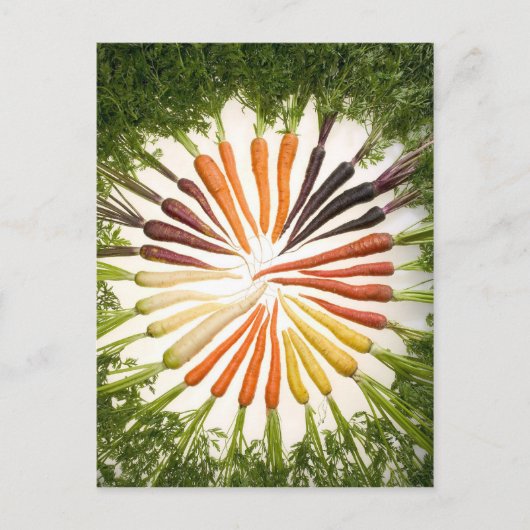 Fun Colorful Carrots Briefkaart (Voorkant)