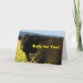 Fun Congratulations Ranch Farm Cattle Bulls Kaart (Voorkant)