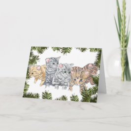 Fun Contemual Kittens in Pines met Kerstmis Feestdagen Kaart