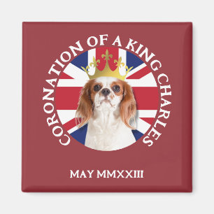 Fun CORONATION OF A King Charles Spaniel Magneet