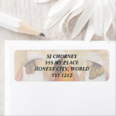 FUN COWGIRLS RETOURADRES LABELS (Insitu)